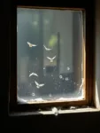 Encontré alas en el alféizar de la ventana, ¿es una mala señal? - Interpretaciones y Significados 4 Encontré alas en el alféizar de la ventana, ¿es una mala señal? – Interpretaciones y Significados