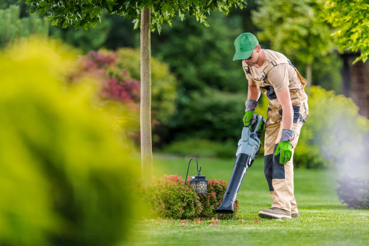 Jardineros a domicilio en Lekunberri 2 contratar empresa jardineria empresa