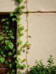 ¿La leña apilada junto a la pared de la casa es una invitación para las termitas? – Riesgos y Prevención
