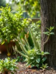 ¿Qué plantas o árboles de mi jardín son más vulnerables a las termitas? – Guía para proteger tu jardín